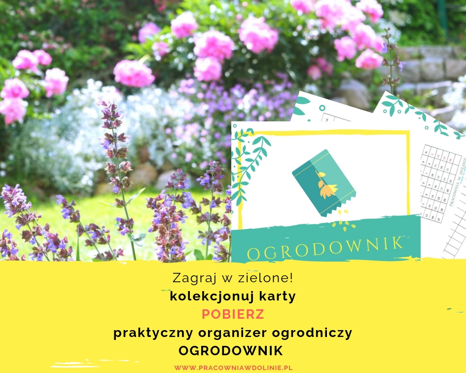 organizer ogrodowy